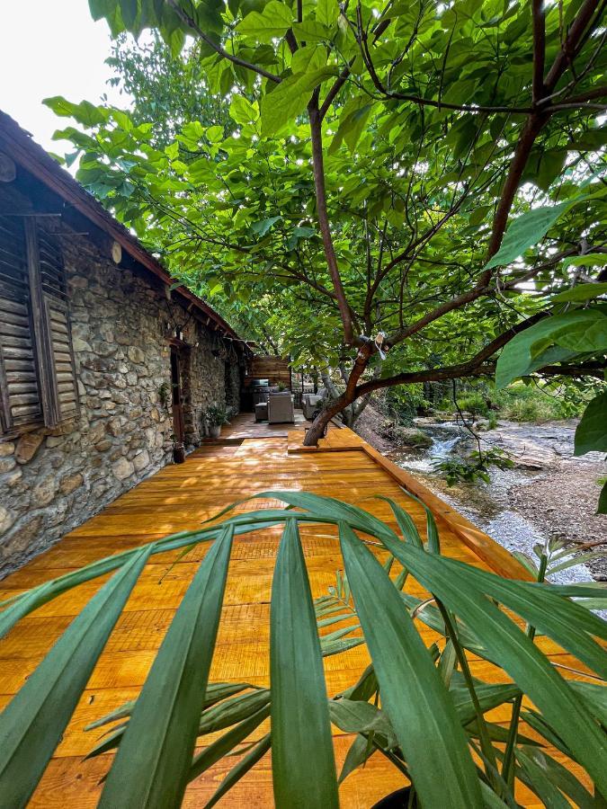 The Hunter House Villa Ciudanovita Buitenkant foto